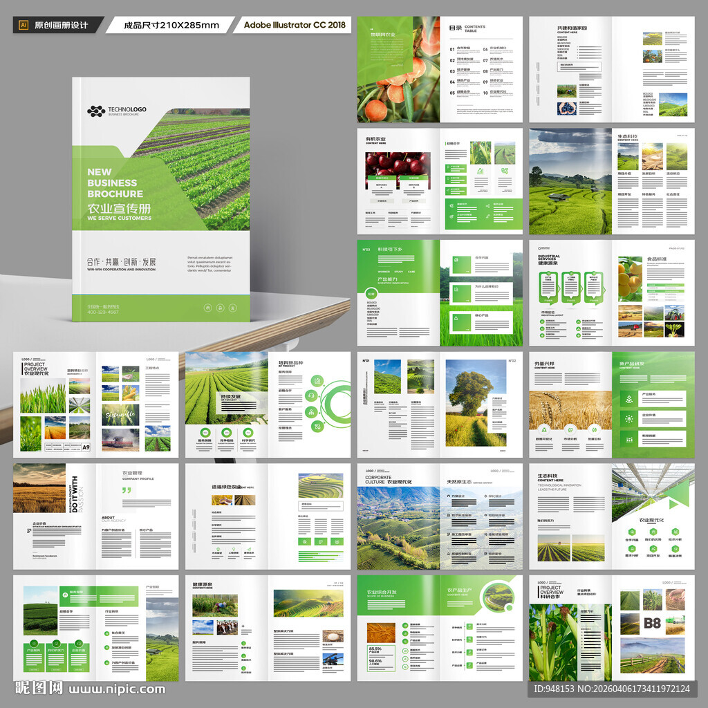 农产品宣传册