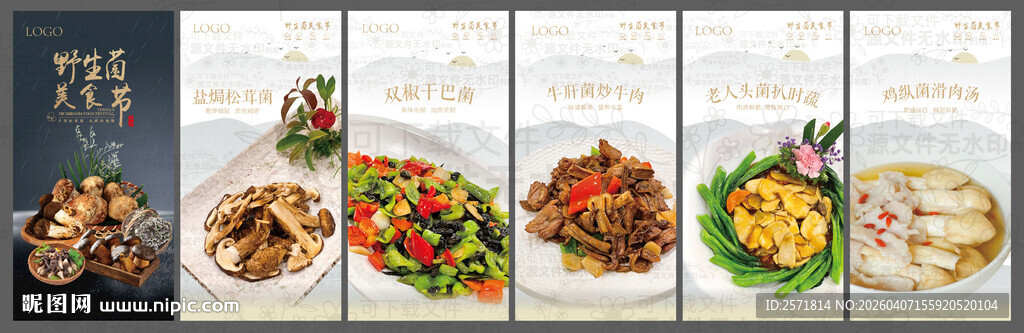 野生菌菇节 松茸菌 干巴菌 