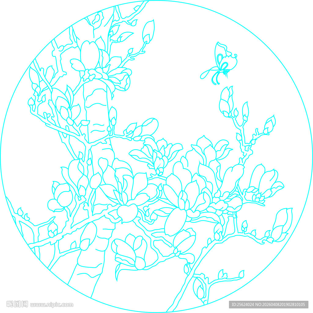 玉兰花  矢量图 