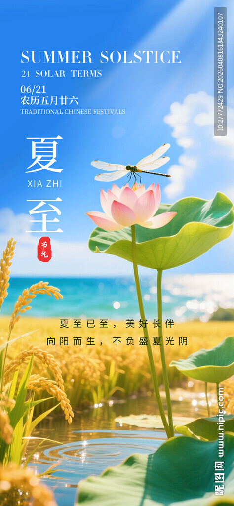 夏至海报 二十四节气