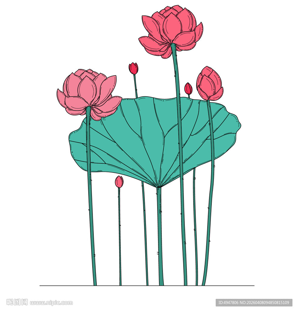 手绘荷花荷叶插画 矢量图