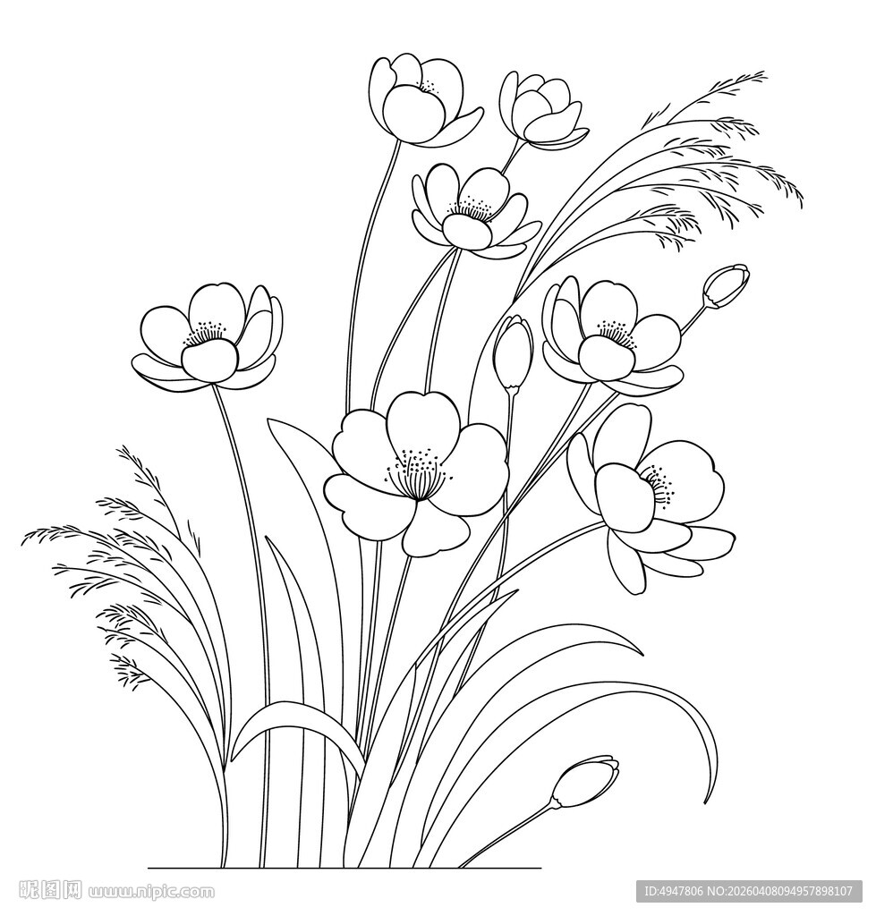 手绘花卉线条图 矢量图