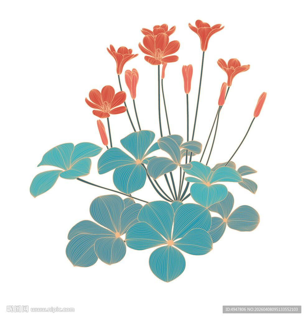 手绘三叶草与红花插画 矢量图