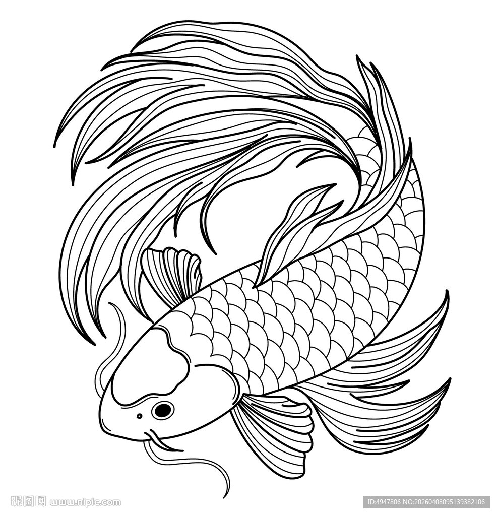 优雅飘逸的单线金鱼插画 矢量图