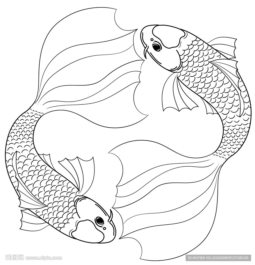 双金鱼对称图案设计 矢量图