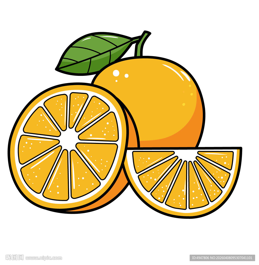 卡通橙子插画 矢量图