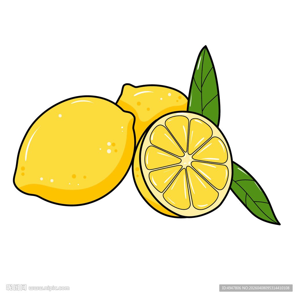 新鲜柠檬 矢量图