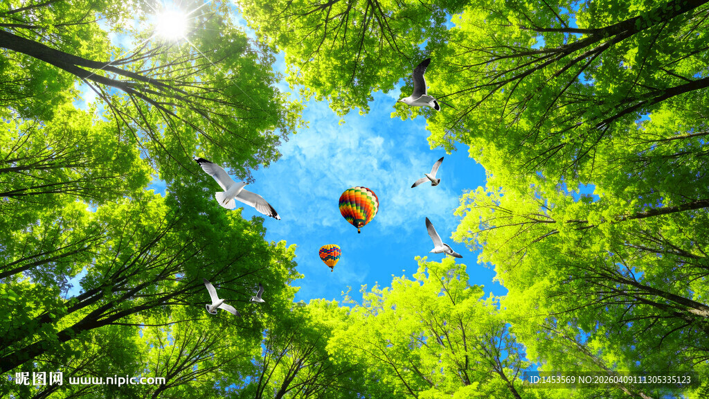 蓝天白云森林吊顶