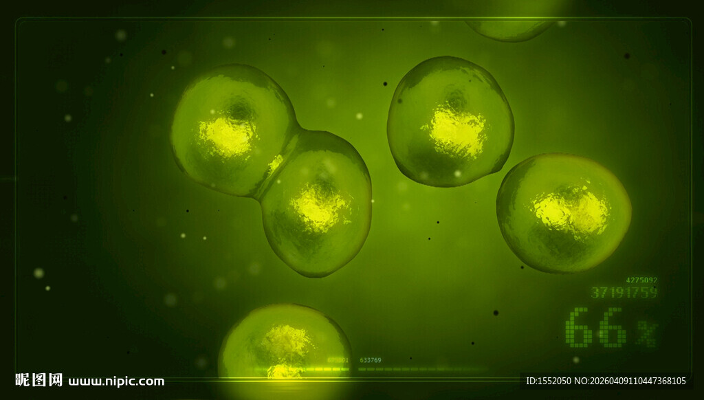 干细胞分裂微观景象
