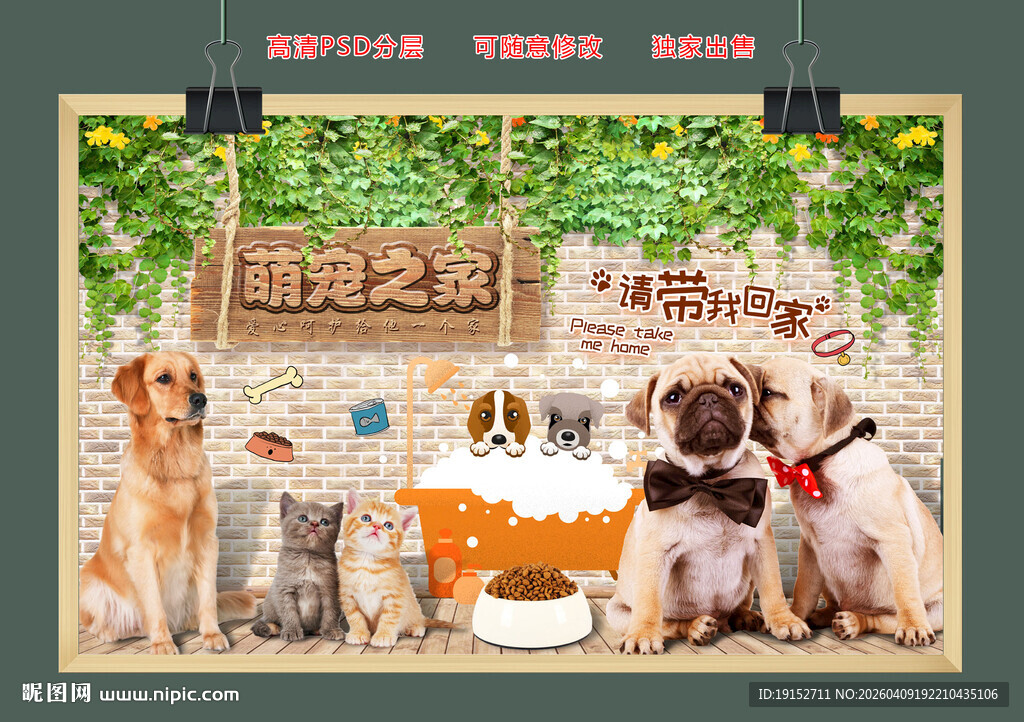 时尚宠物背景墙图片