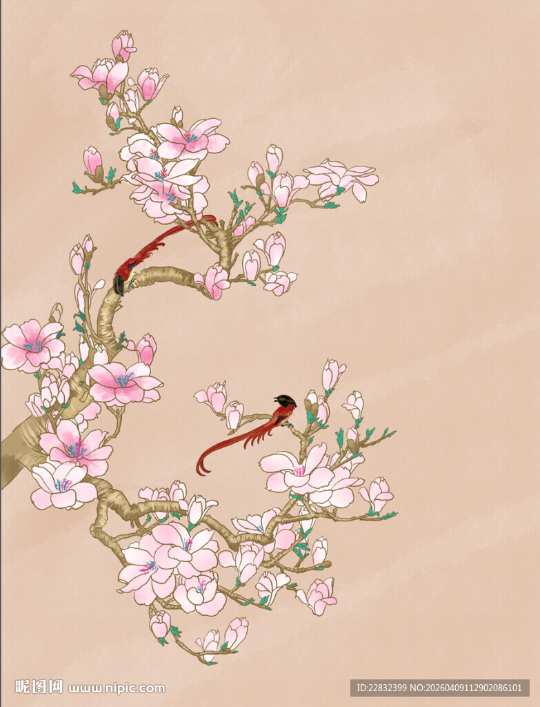 手绘国画粉色玉兰花