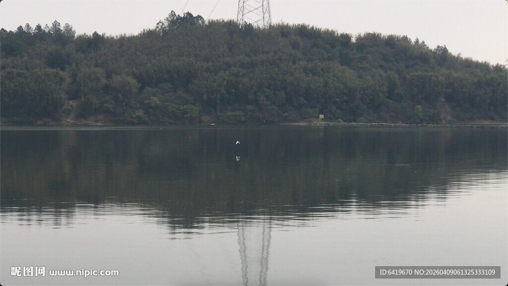 宁静北江河岸清晨日出景象