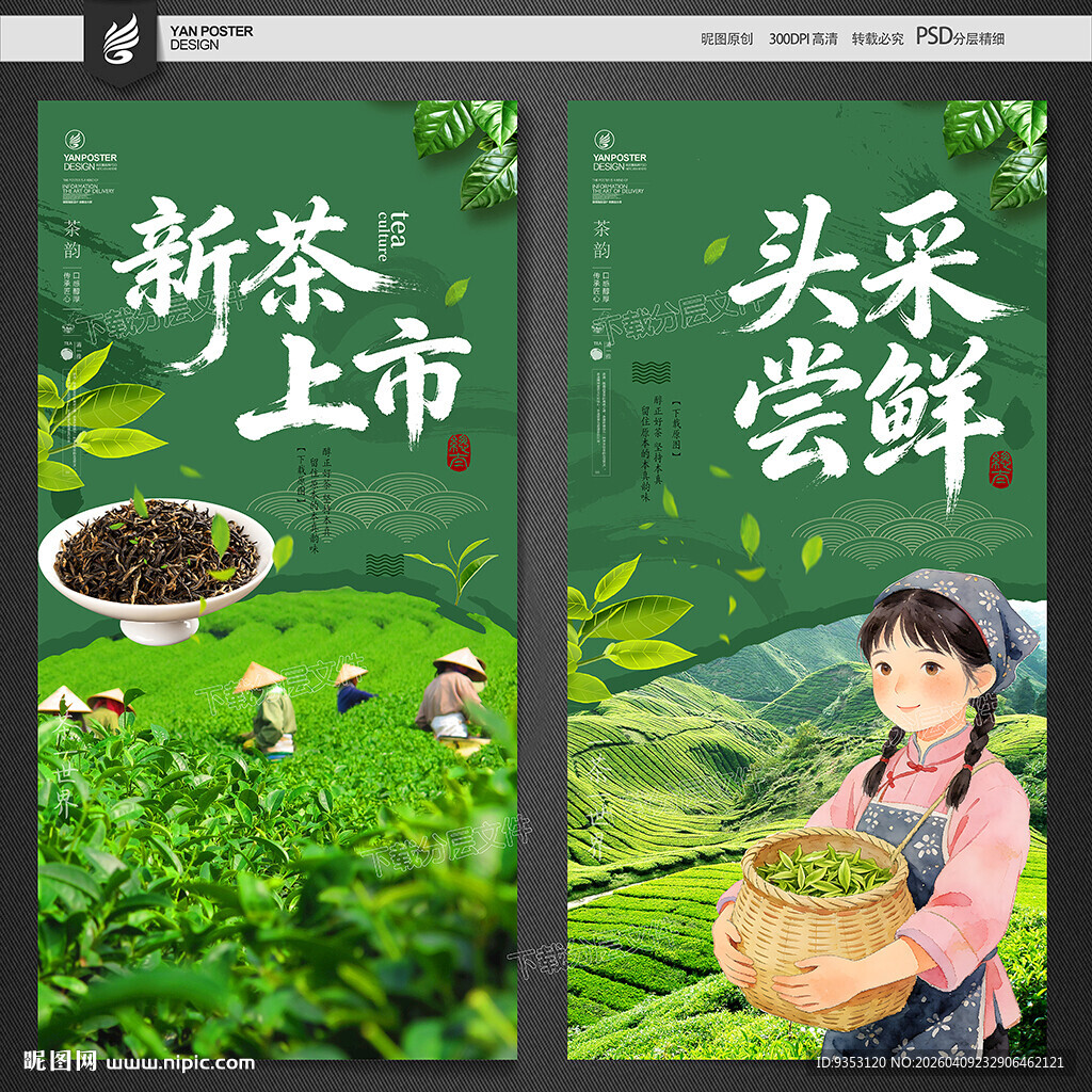 新茶上市 头采尝鲜海报