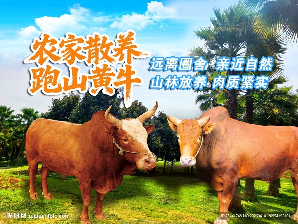 黄牛海报
