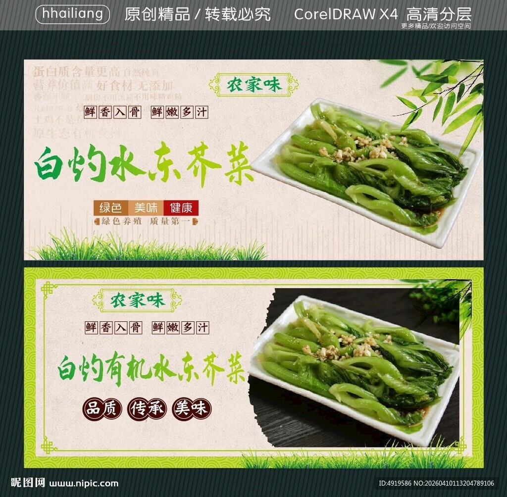  白灼有机水东芥菜