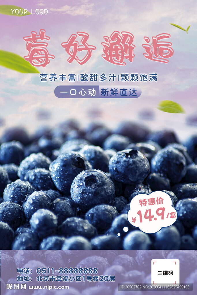 蓝莓海报