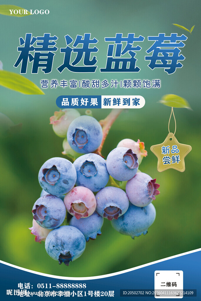 蓝莓海报