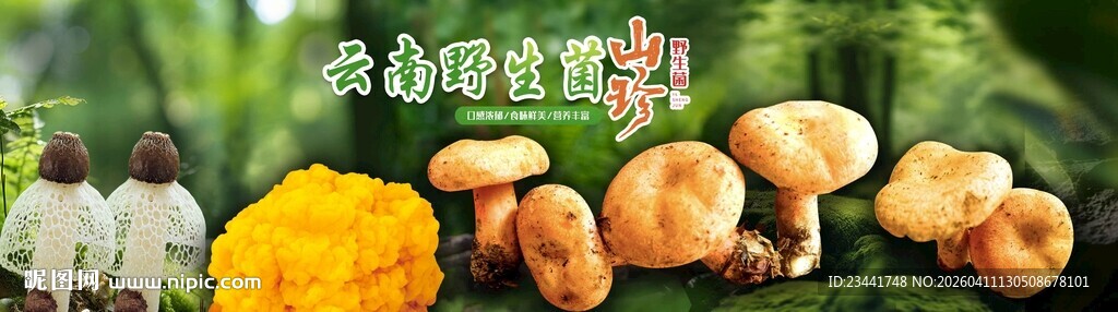 云南野生菌