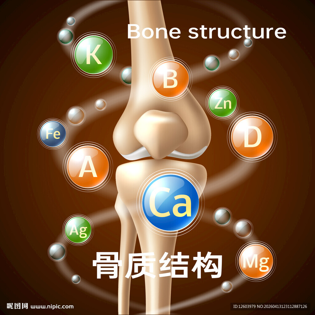 膝盖骨质结构与元素示意