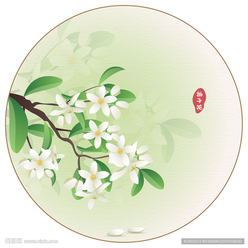 柚子花橙花矢量插画