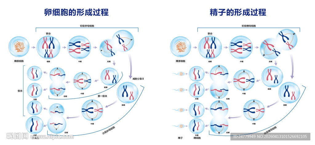 业务流程图解