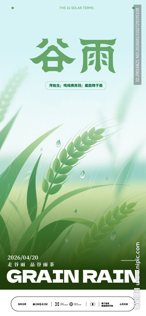 谷雨时节 清新田园景象