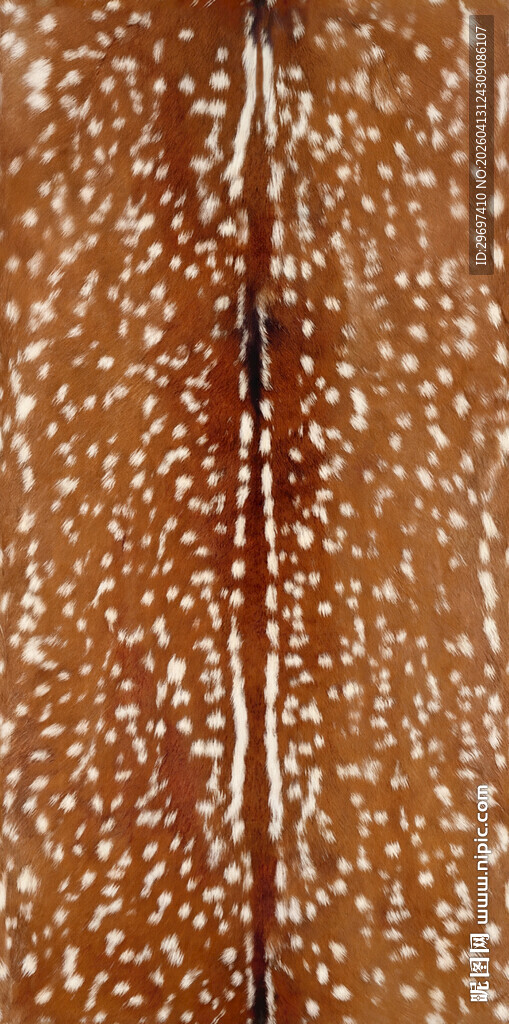 棕色带斑点纹理图案 