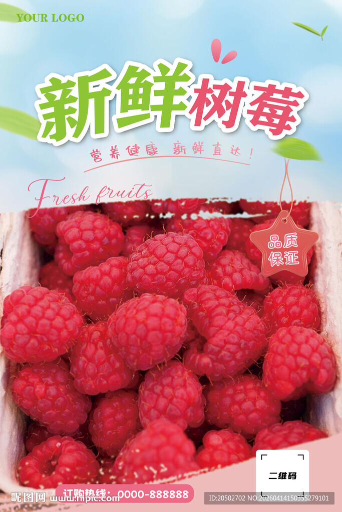 新鲜树莓海报