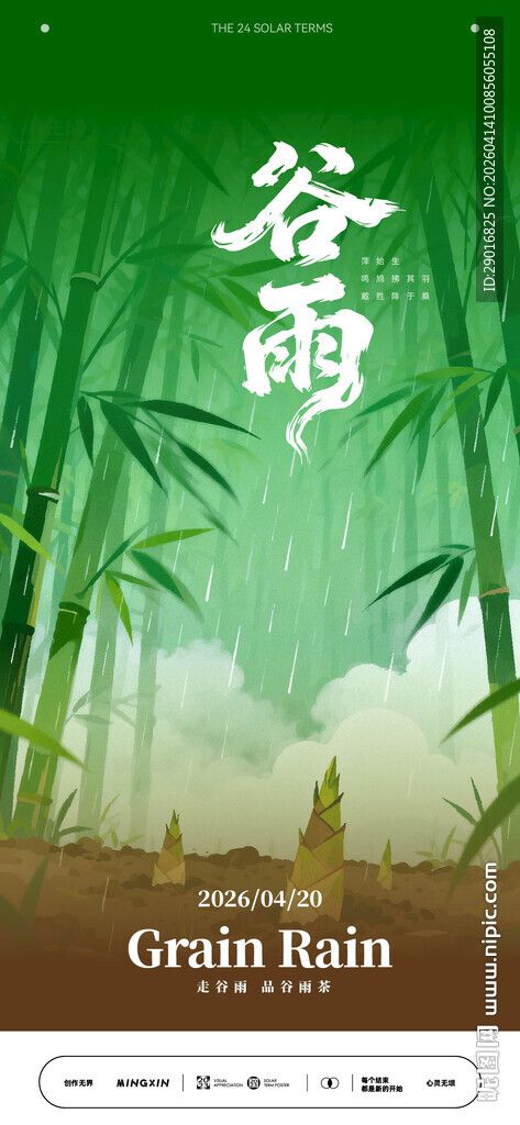 谷雨时节竹林清新景象