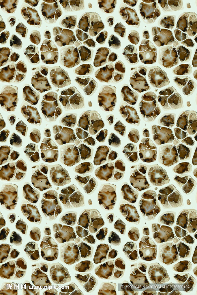 豹纹图案面料纹理展示