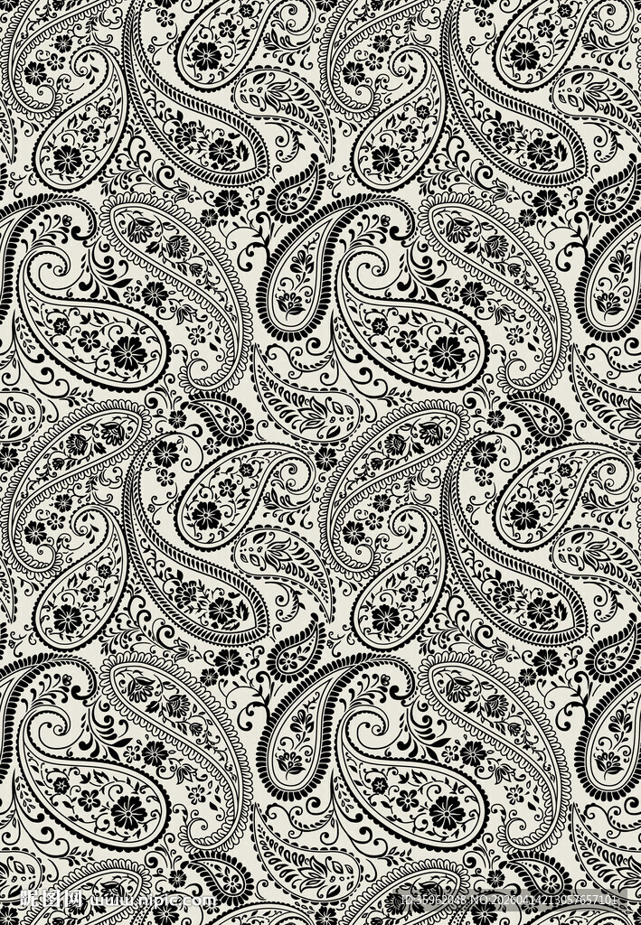 黑白佩斯利花纹图案设计