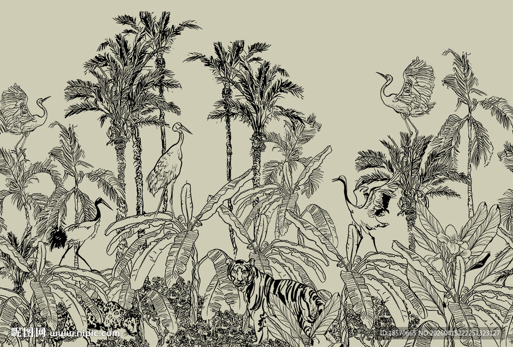 热带植物手绘插画