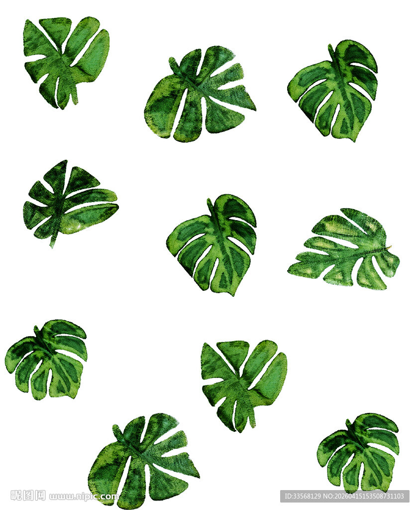 手绘龟背竹叶图案