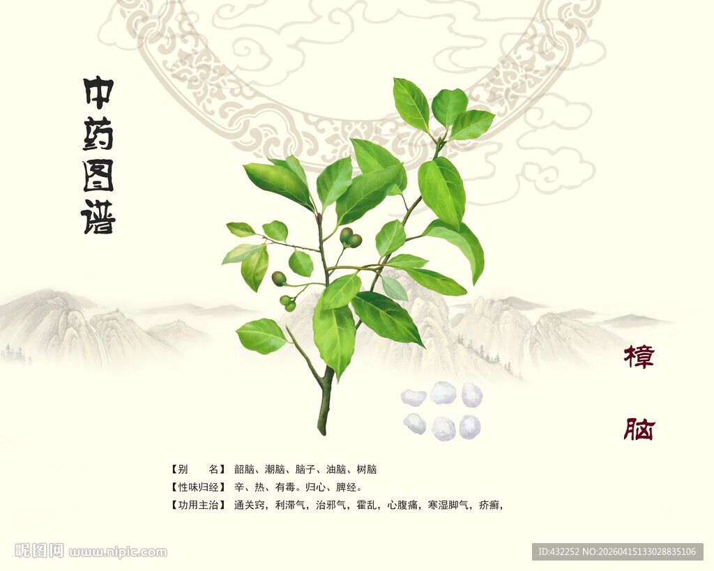 中药樟脑展示图