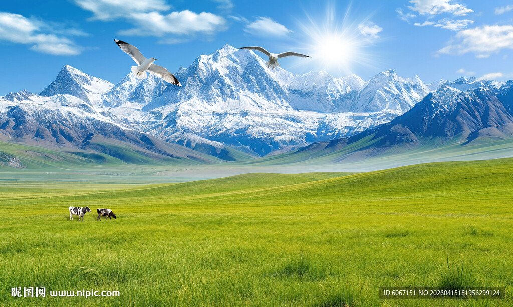 蓝天白云雪山大草原