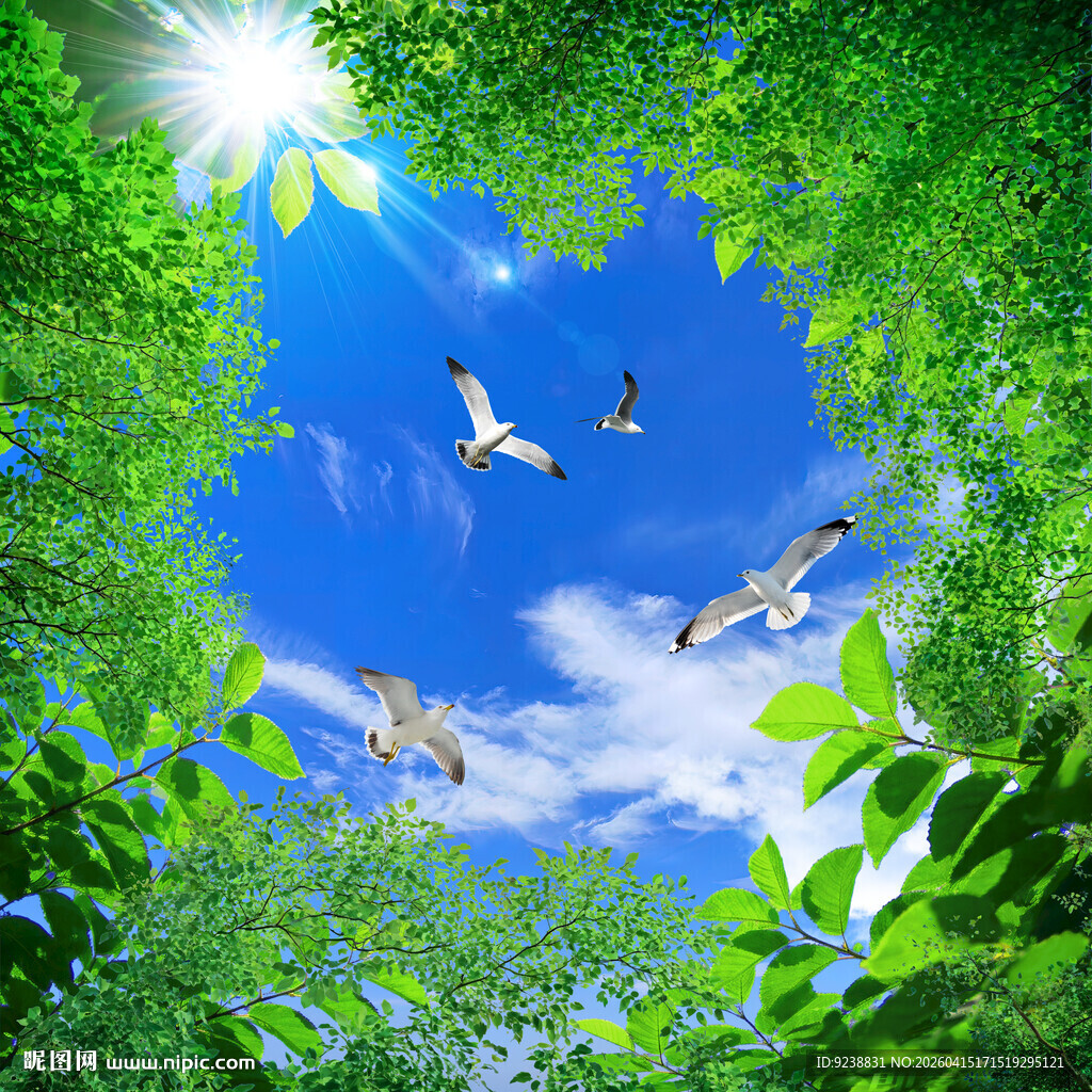 蓝天白云软膜天花吊顶