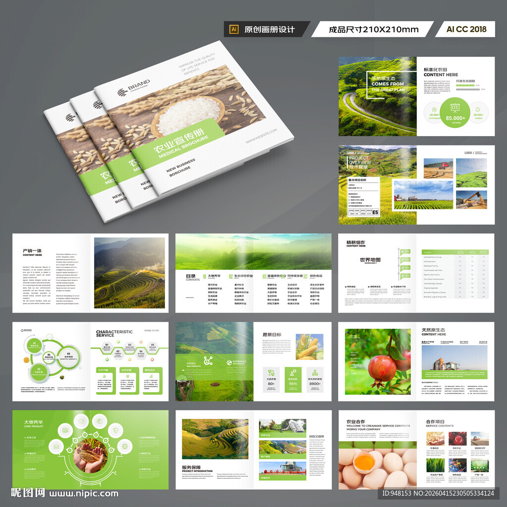 方形农产品宣传册