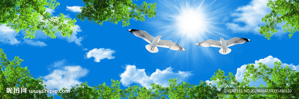 蓝天白云天花软膜