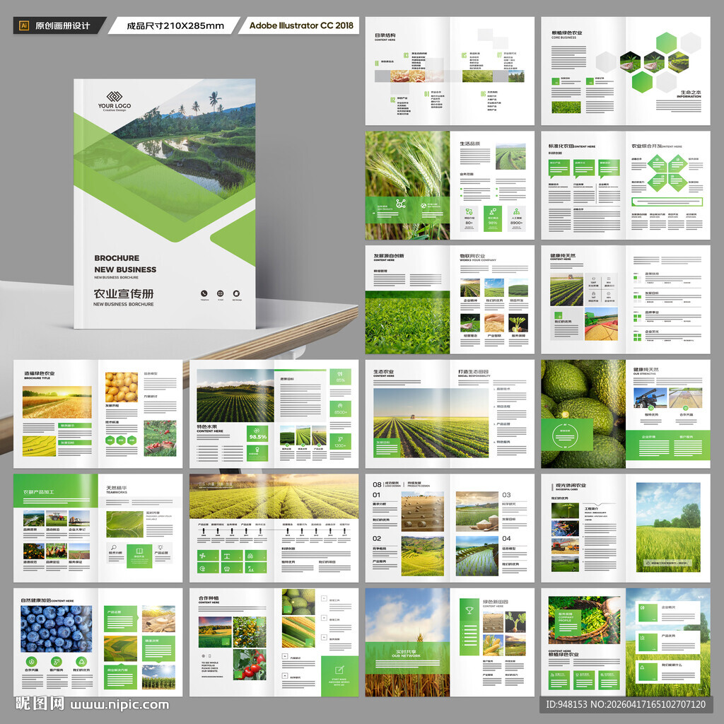 农产品宣传册