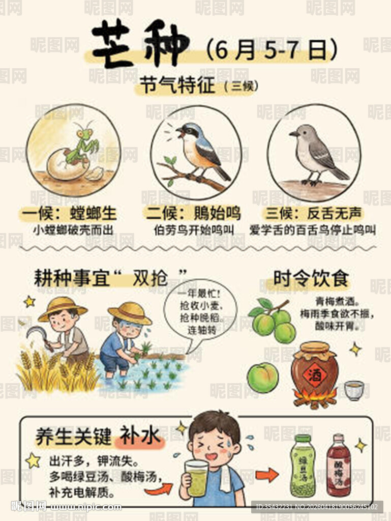 24节气海报芒种