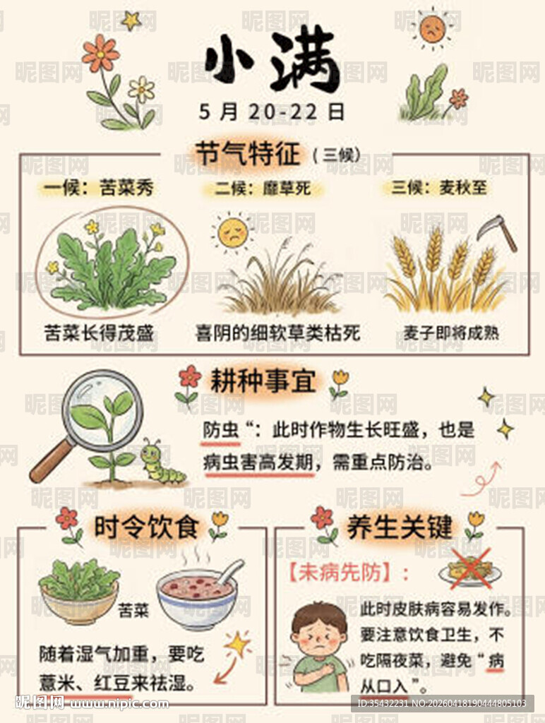 24节气海报小满