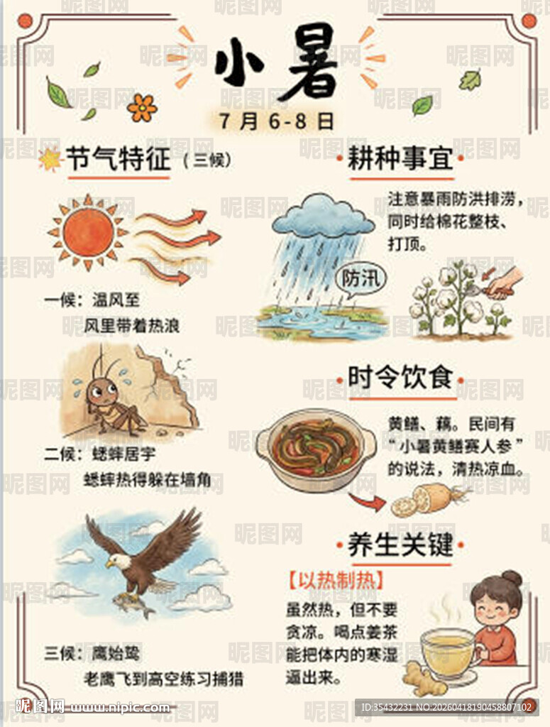 24节气海报小暑