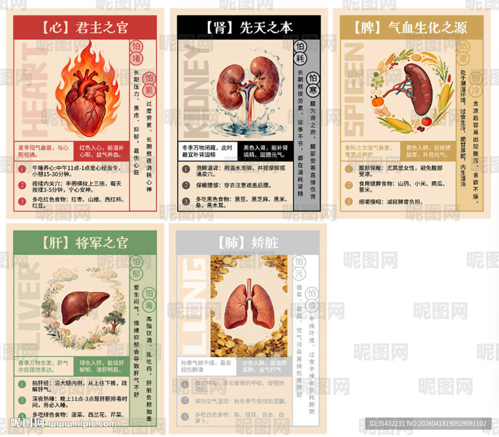 中医五脏养生挂画
