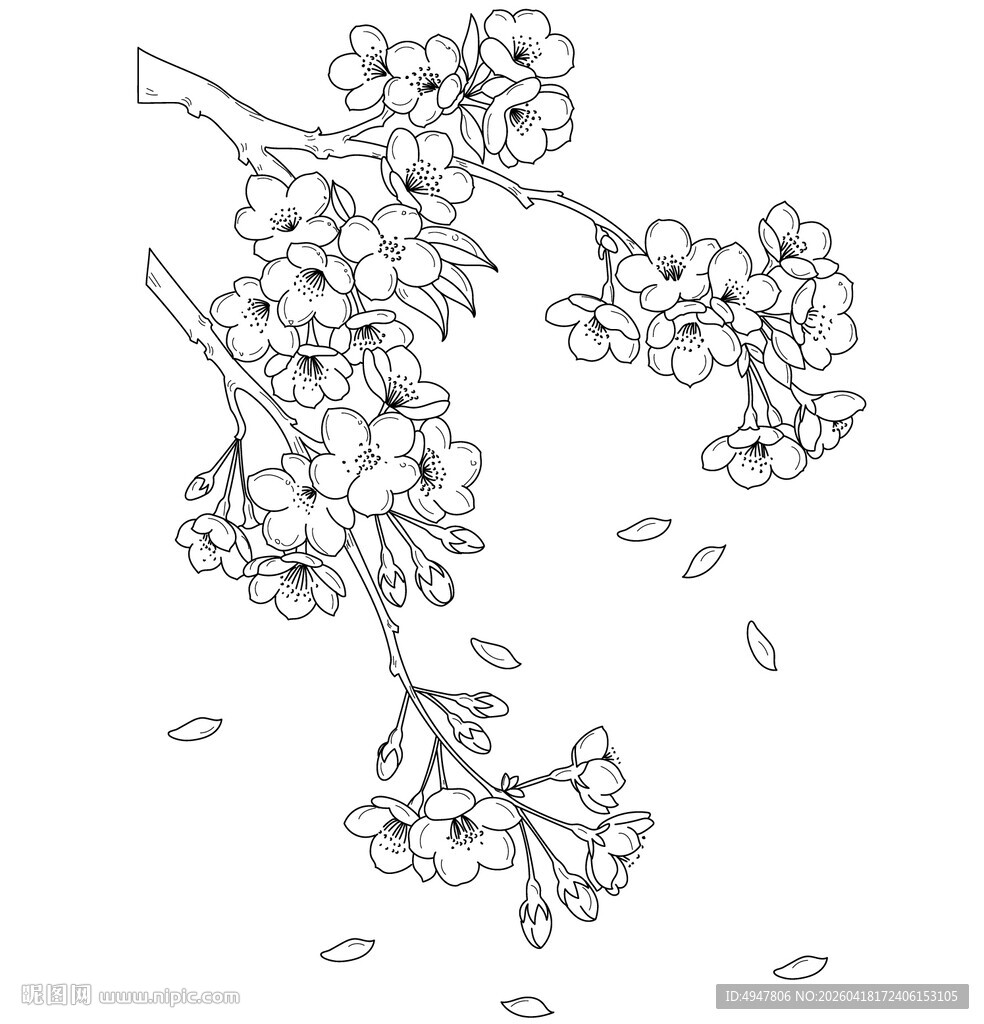 手绘樱花枝 花瓣飘落 矢量图