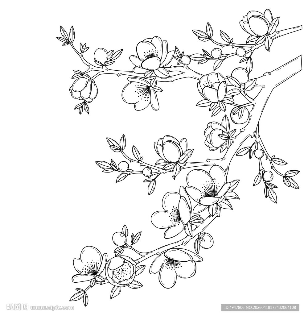 手绘花卉枝条图案 矢量图