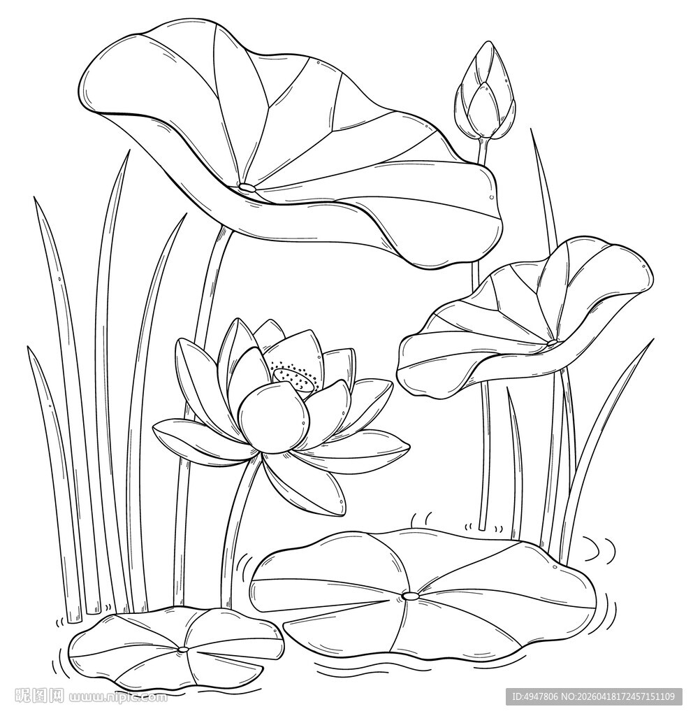 水墨风荷花荷叶线稿图 矢量图
