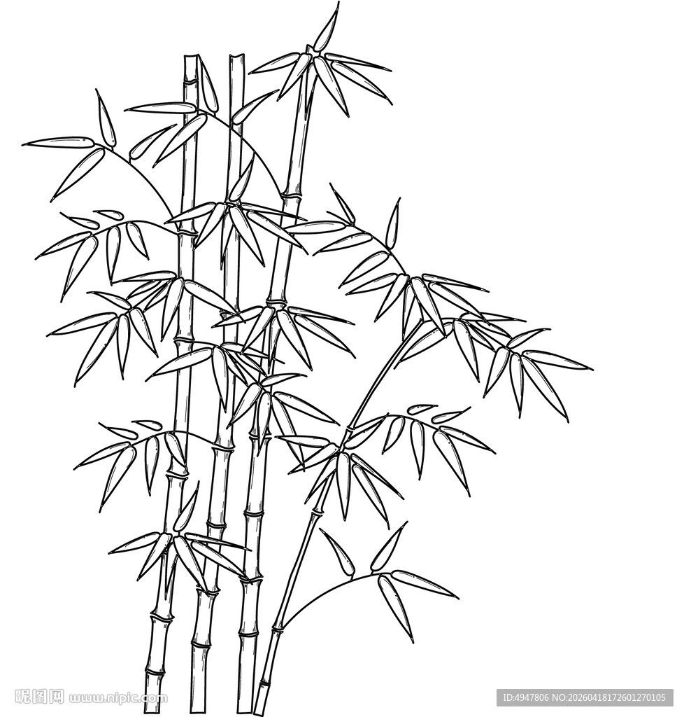 水墨风竹子线描图 矢量图