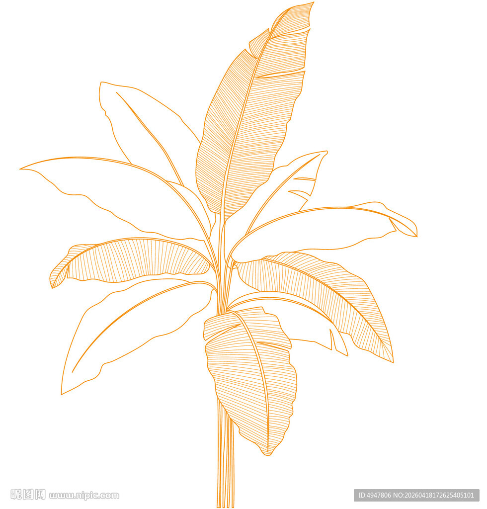 金色线条绘就的植物叶片 矢量图