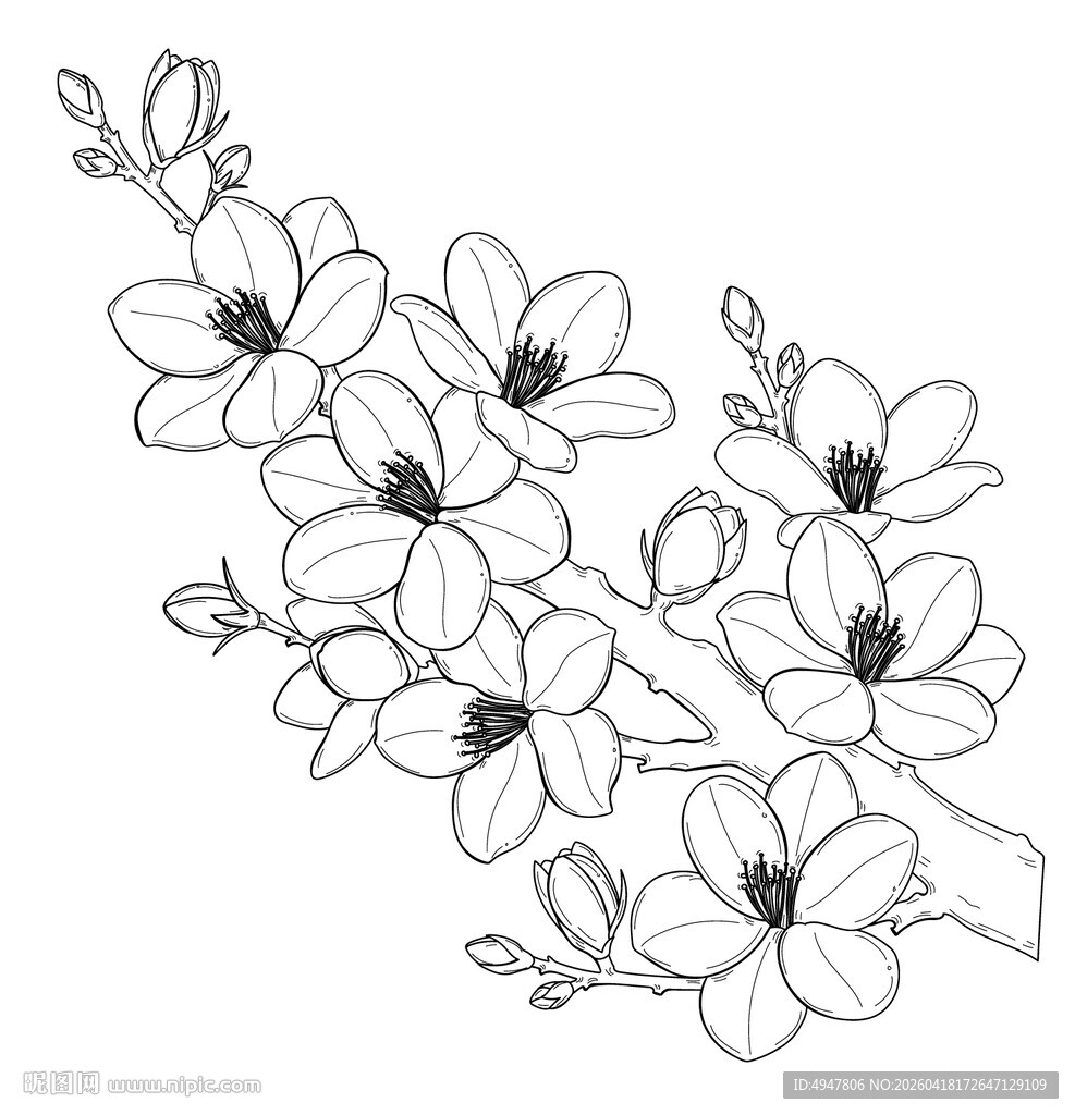 手绘花卉线条图 矢量图