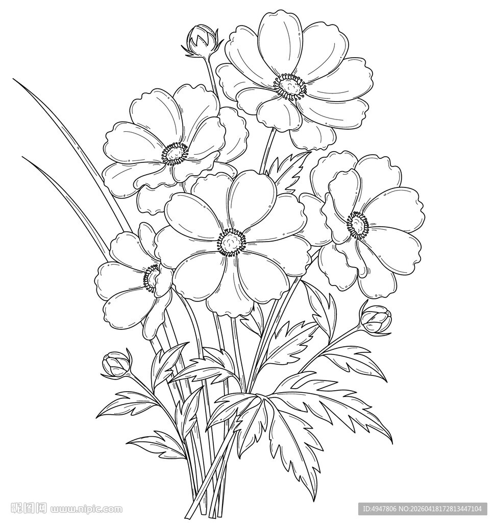 手绘花卉线稿插画 矢量图